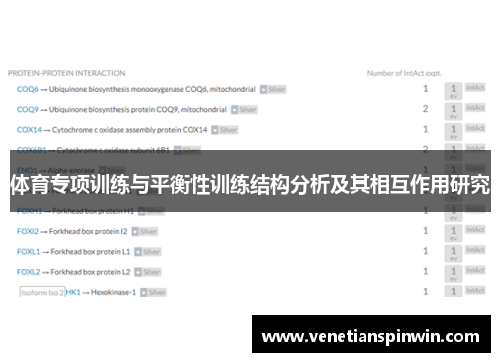 体育专项训练与平衡性训练结构分析及其相互作用研究