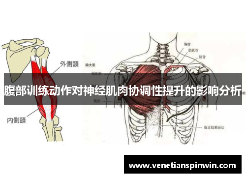 腹部训练动作对神经肌肉协调性提升的影响分析